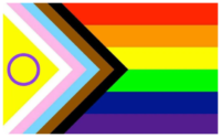 intersectional pride flag
